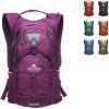 Teton Oasis/Trailrunner Hydration Backpack – Lightweight Water Pack with 2L/3L Bladder for Hiking, Running, Cycling, Biking – 2L/18L/22L Sizes – Sewn-in Rain Cover – Fits Men and Women(Plum)